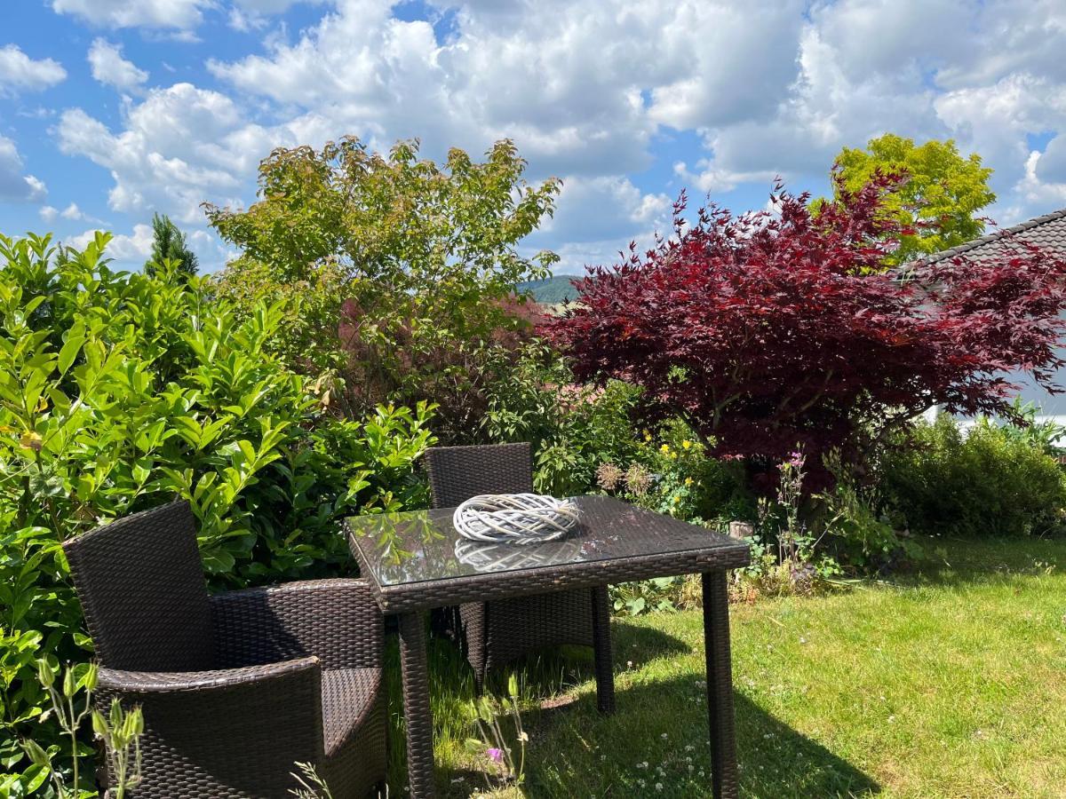Ferienwohnung Spitzenbergblick Reichensachsen Exterior foto