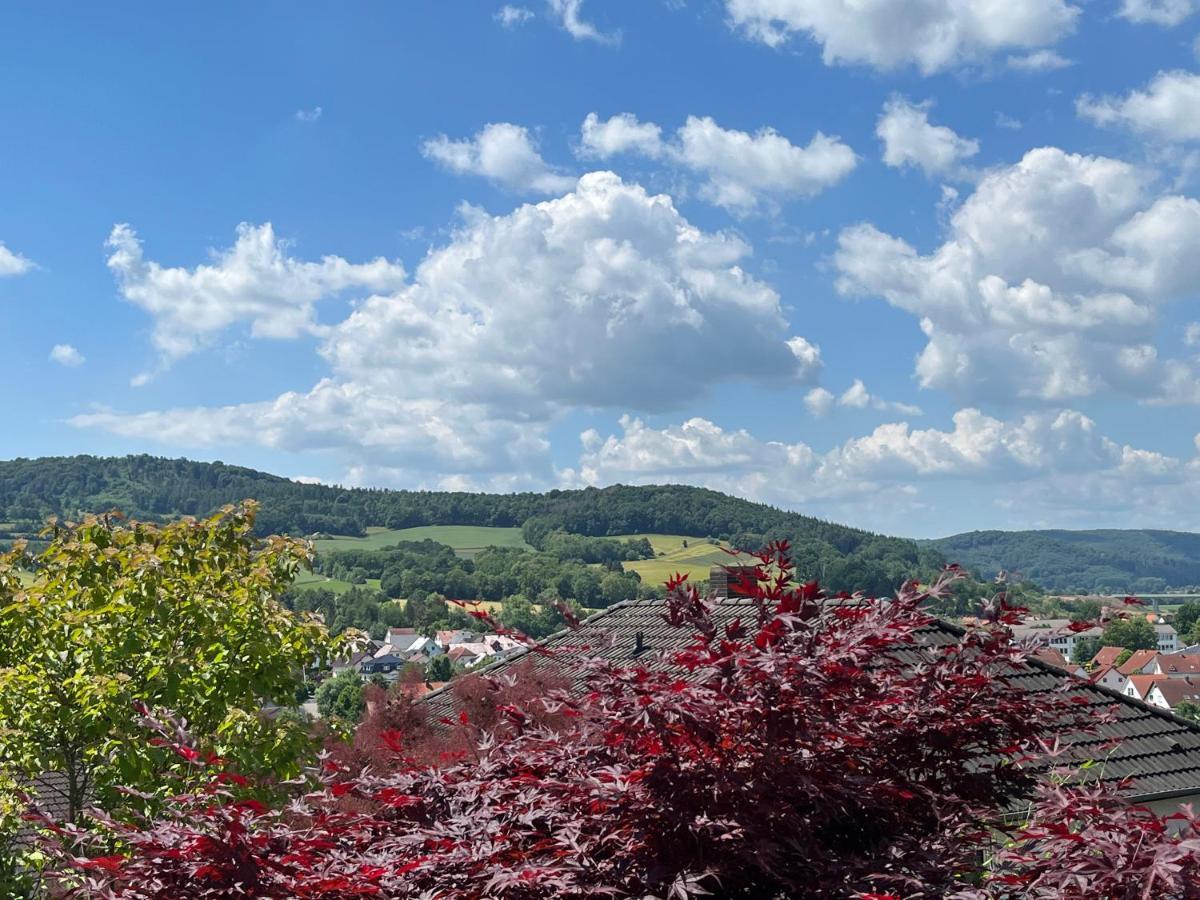 Ferienwohnung Spitzenbergblick Reichensachsen Exterior foto